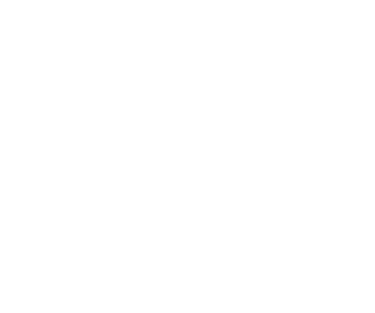 Orizontas